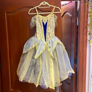 Cinderella blue and gold Ballet dance costume